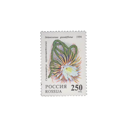 1994-СЕЛЕНИЦЕРЕУС-КРУПНОЦВЕТКОВЫЙ-ИЗ-СЕРИИ-КОМНАТНЫЕ-РАСТЕНИЯ.-КАКТУСЫ