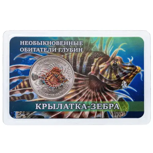 Крылатка-зебра