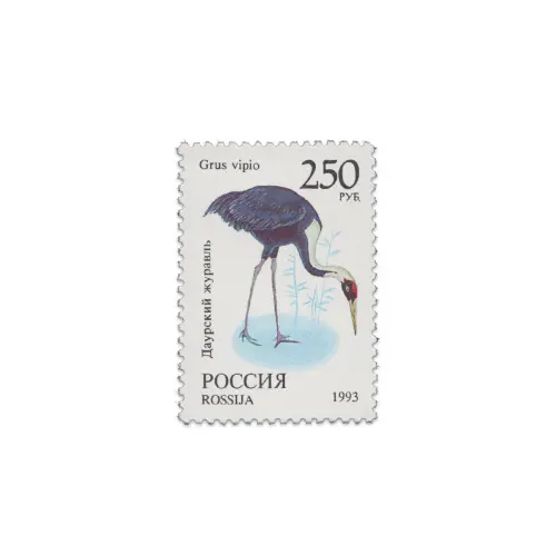 1993-Журавль