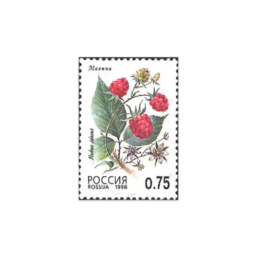 1998-малина