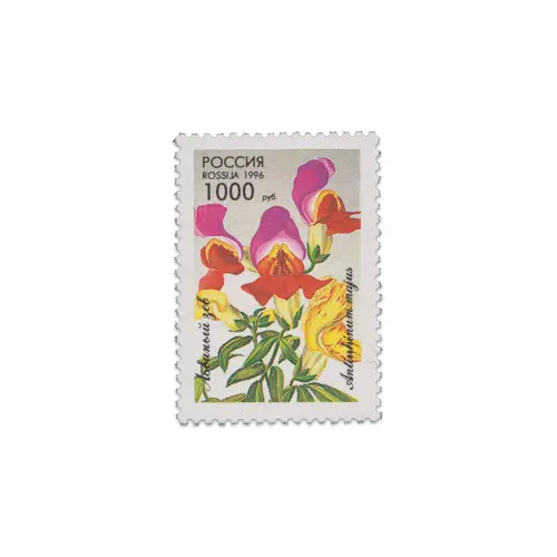 1996-Львиный-зев