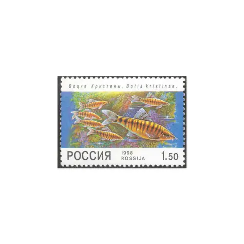 1998-Боция-Кристины
