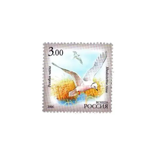 2006-РОЗОВАЯ-ЧАЙКА-ИЗ-СЕРИИ-ФАУНА-РЕСПУБЛИКИ-САХА-(ЯКУТИЯ)