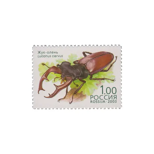 2003-ЖУК-ОЛЕНЬ-ИЗ-СЕРИИ-ЖУКИ