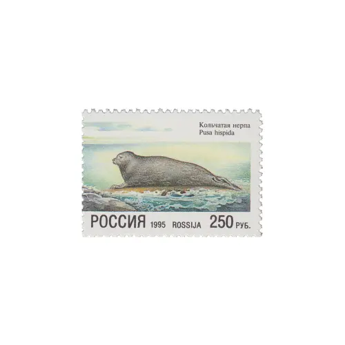 1995-КОЛЬЧАТАЯ-НЕРПА-ИЗ-СЕРИИ-ПРИРОДА.-СОВМЕСТНЫЙ-ВЫПУСК-РОССИИ-И-ФИНЛЯНДИИ
