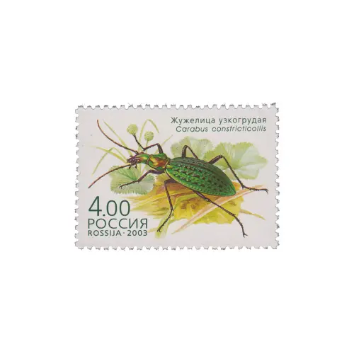 2003-ЖУЖЕЛИЦА-УЗКОГРУДАЯ-ИЗ-СЕРИИ-ЖУКИ