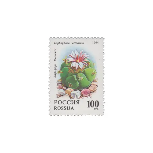 1994-ЛОФОФОРА-ВИЛЬЯМСА-ИЗ-СЕРИИ-КОМНАТНЫЕ-РАСТЕНИЯ.-КАКТУСЫ