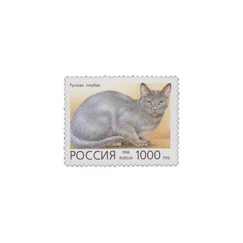 1996-Русская-голубая-кошка